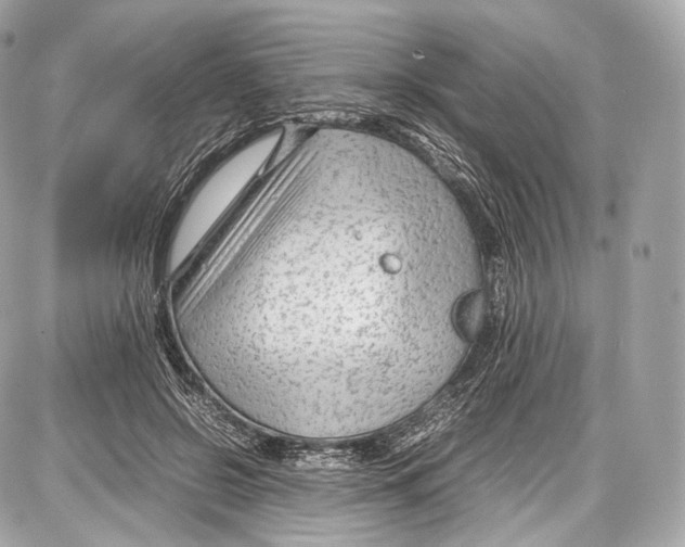 X0000086960550200705141628