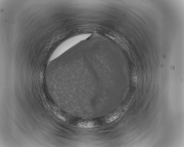 X0000086960551200705141628