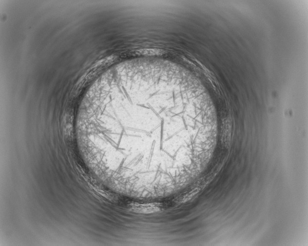 X0000086960553200705141628