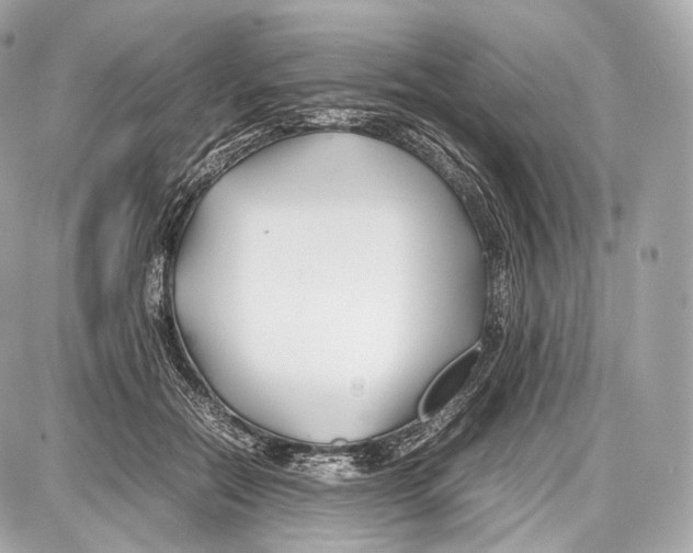 X0000086960554200705141628