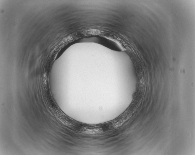 X0000086960555200705141628