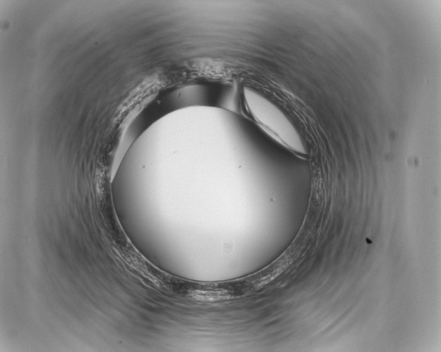 X0000086960556200705141628