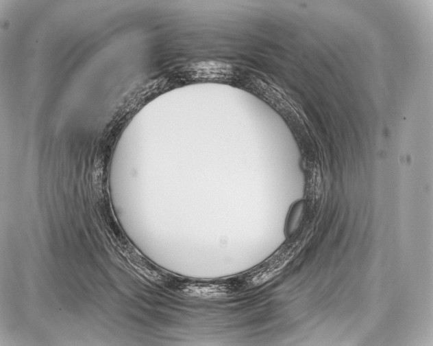 X0000086960557200705141628