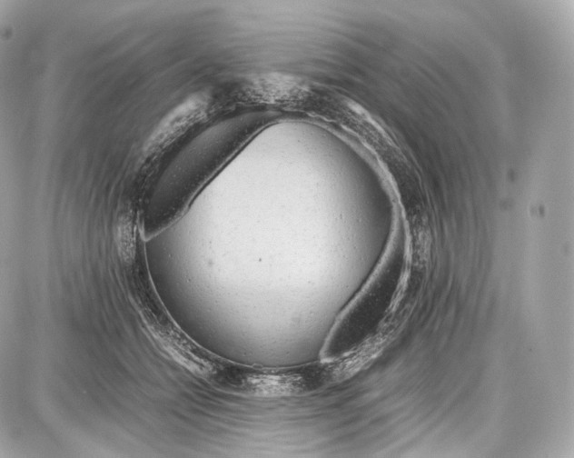 X0000086960558200705141628