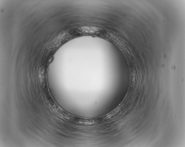 X0000086960559200705141628