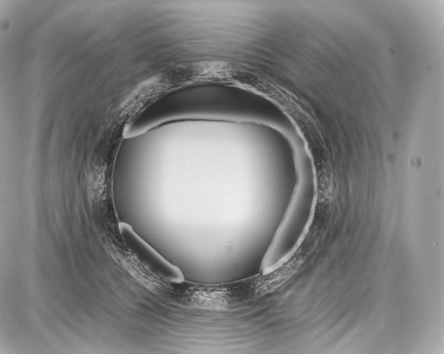 X0000086960560200705141628