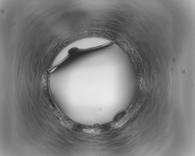 X0000086960561200705141628