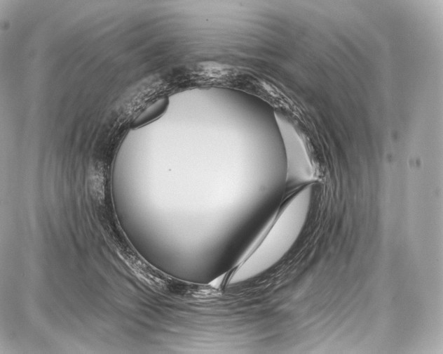 X0000086960562200705141629