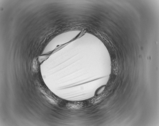 X0000086960563200705141629