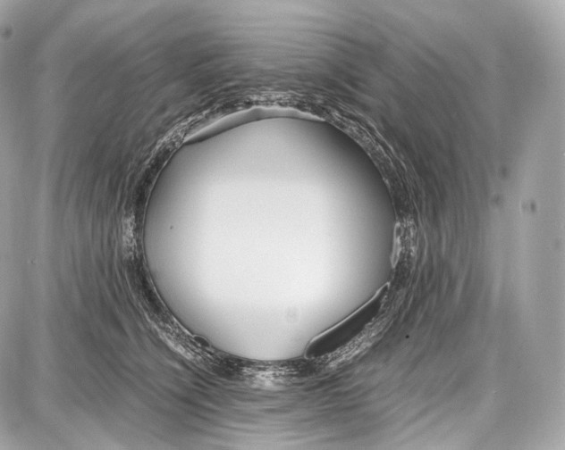 X0000086960564200705141629