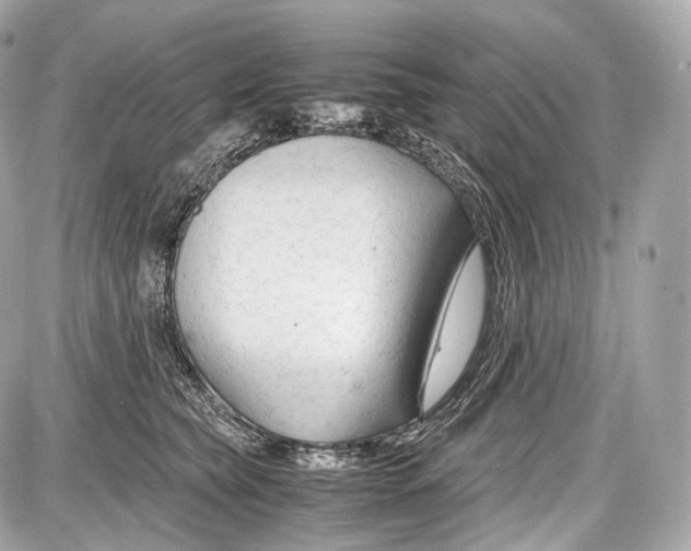 X0000086960565200705141629