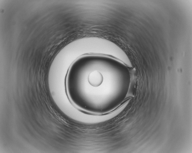 X0000086960566200705141629