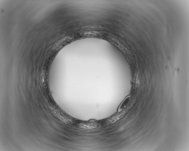 X0000086960567200705141629