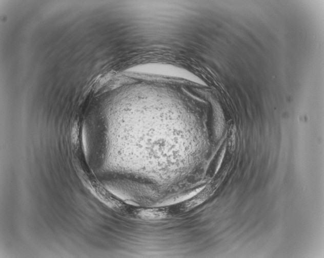 X0000086960568200705141629