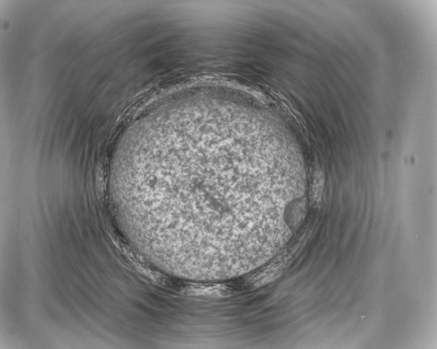 X0000086960569200705141629