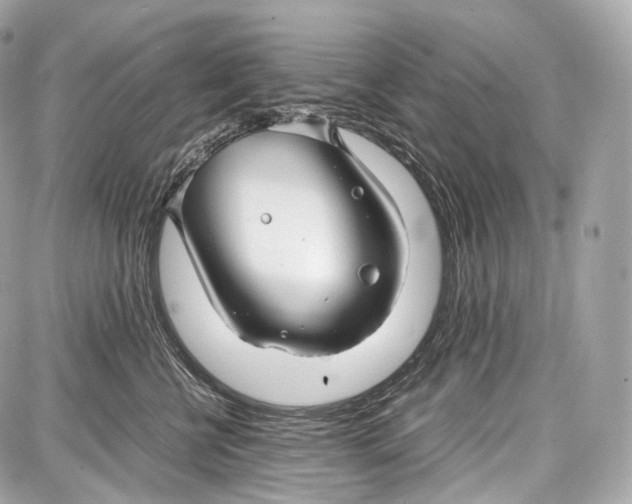 X0000086960570200705141629