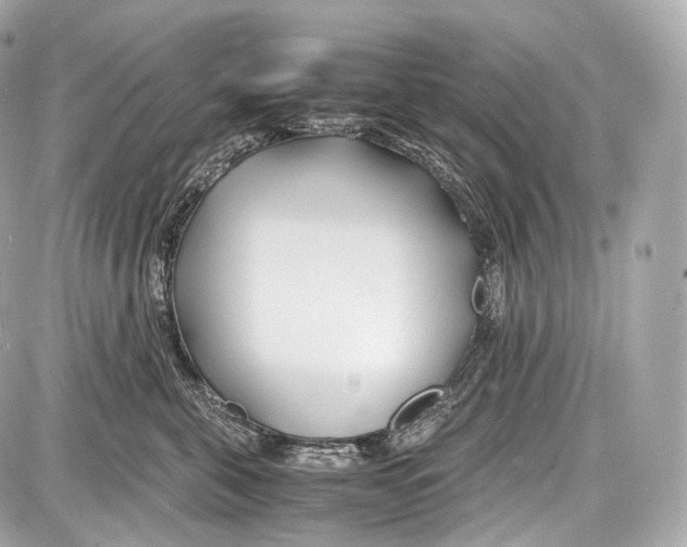 X0000086960571200705141629