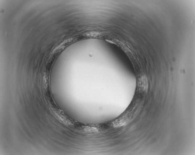 X0000086960572200705141629