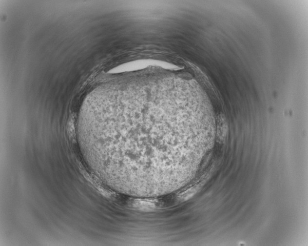 X0000086960573200705141629