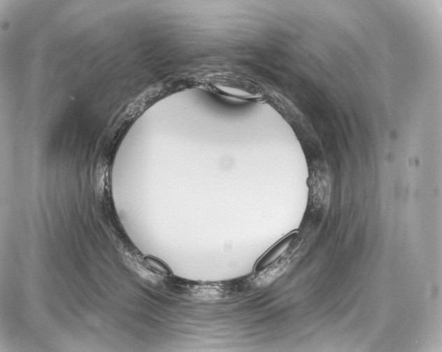 X0000086960574200705141629