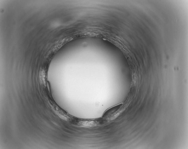 X0000086960575200705141629