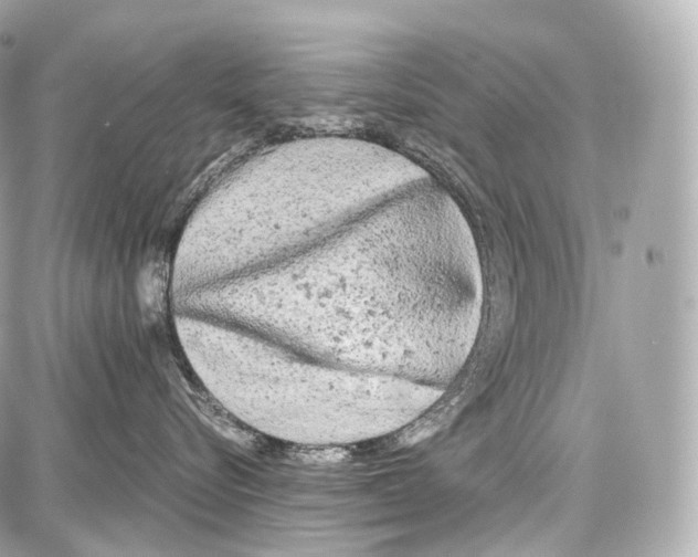 X0000086960576200705141629