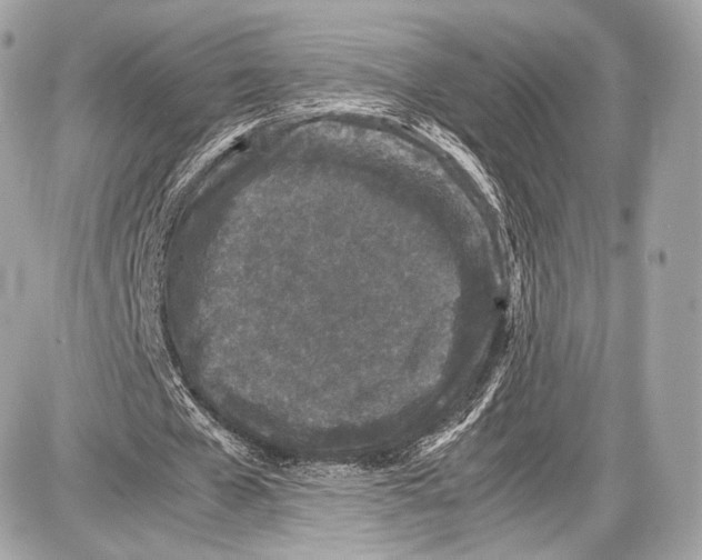 X0000086960577200705141628