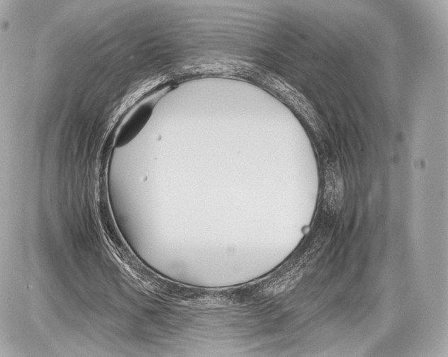 X0000086960578200705141628