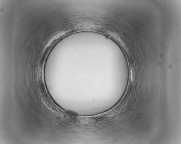 X0000086960579200705141628