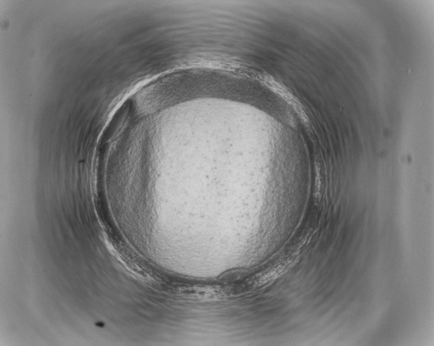 X0000086960580200705141628