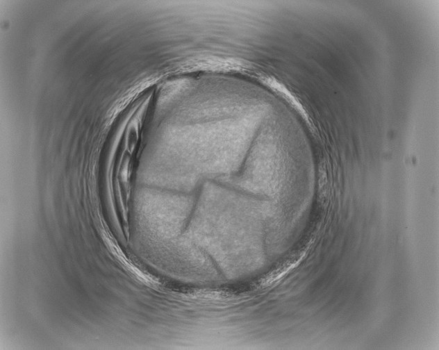 X0000086960581200705141628