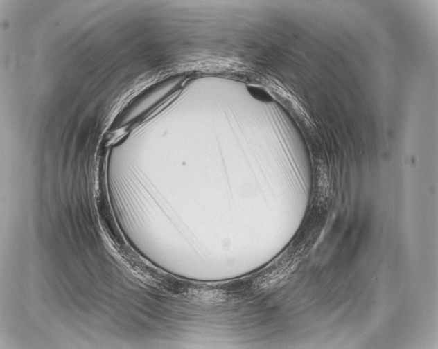 X0000086960582200705141628