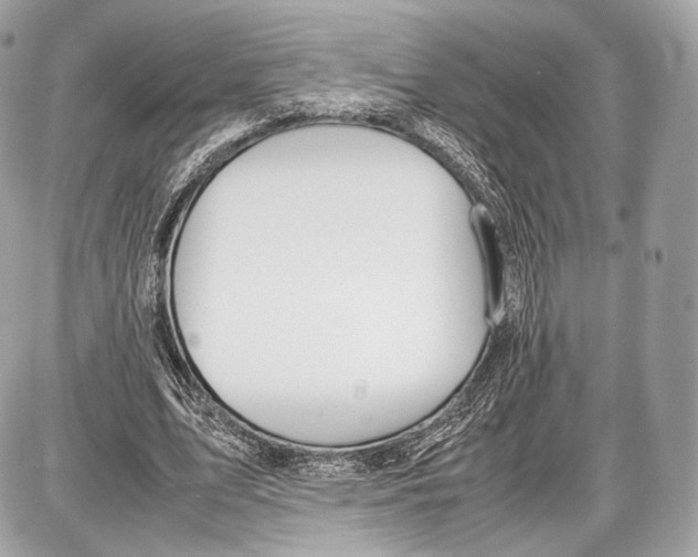 X0000086960583200705141628