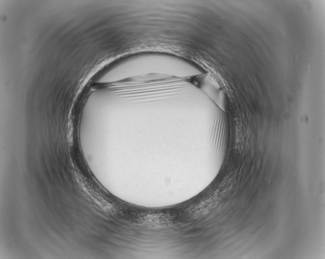 X0000086960584200705141628