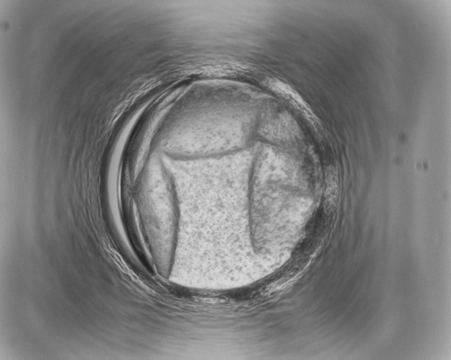 X0000086960585200705141628