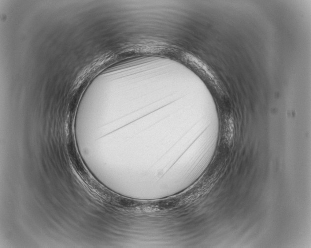 X0000086960586200705141628