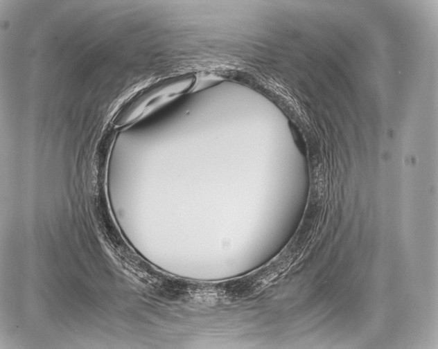 X0000086960587200705141628