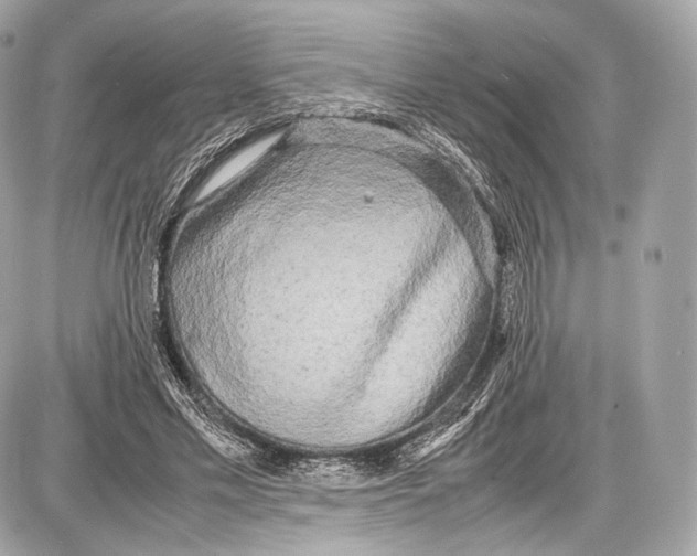 X0000086960589200705141628