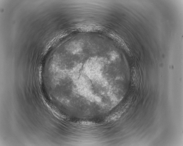 X0000086960590200705141628