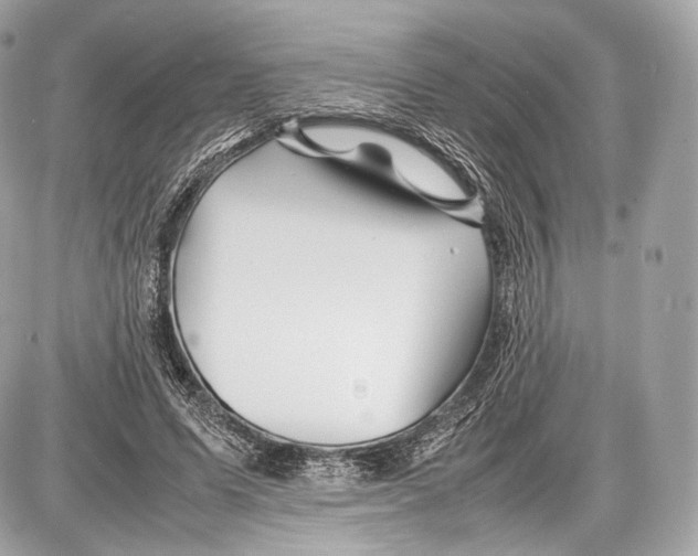 X0000086960591200705141628