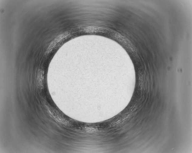 X0000086960592200705141628