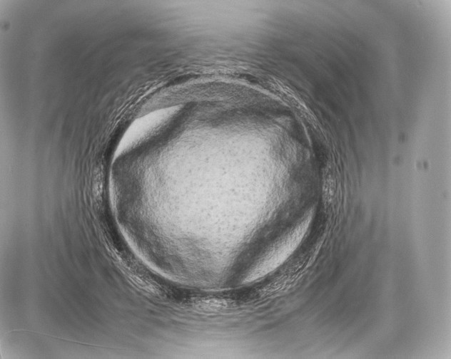 X0000086960593200705141628