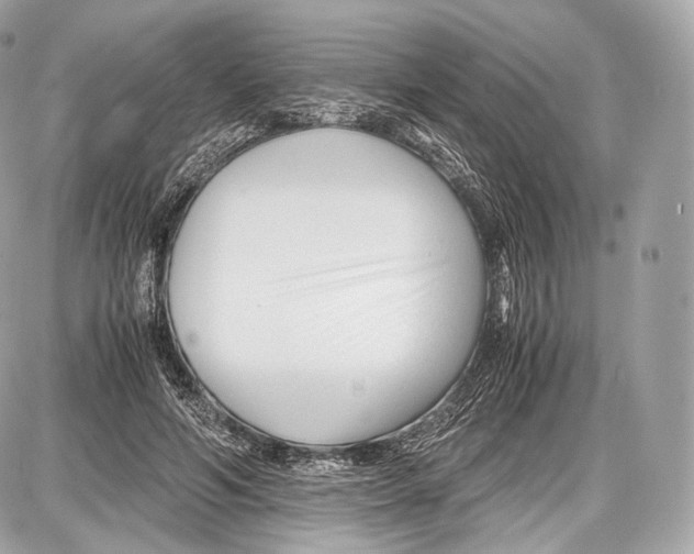 X0000086960594200705141628