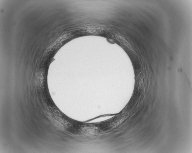 X0000086960595200705141628