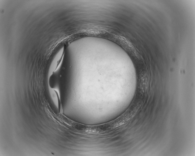 X0000086960596200705141628