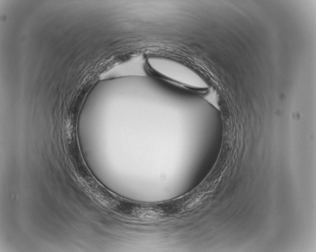 X0000086960597200705141628