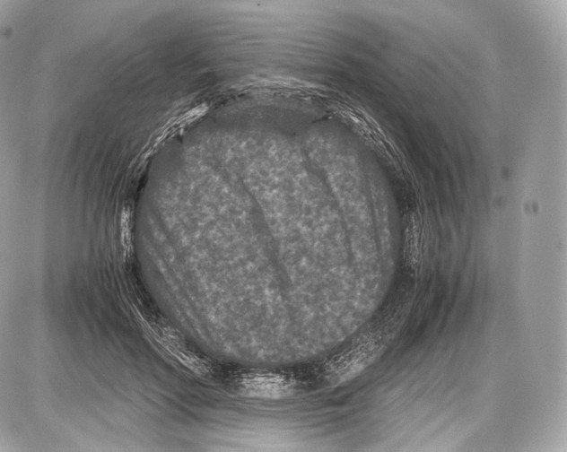 X0000086960598200705141628