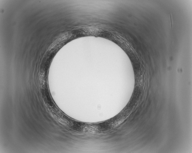 X0000086960599200705141628