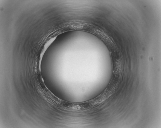 X0000086960600200705141628