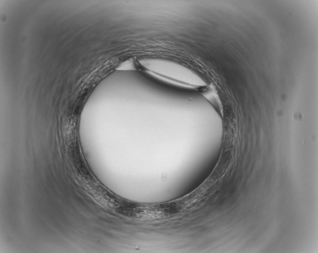 X0000086960601200705141628